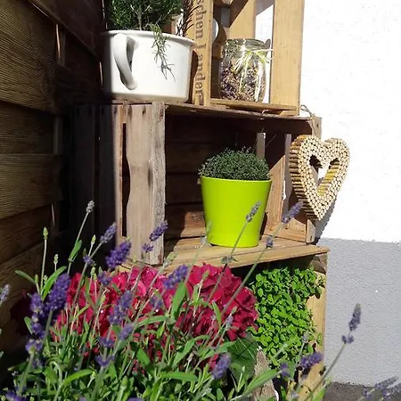 מלון Casada - Silvretta Premium Card Betrieb גלטור