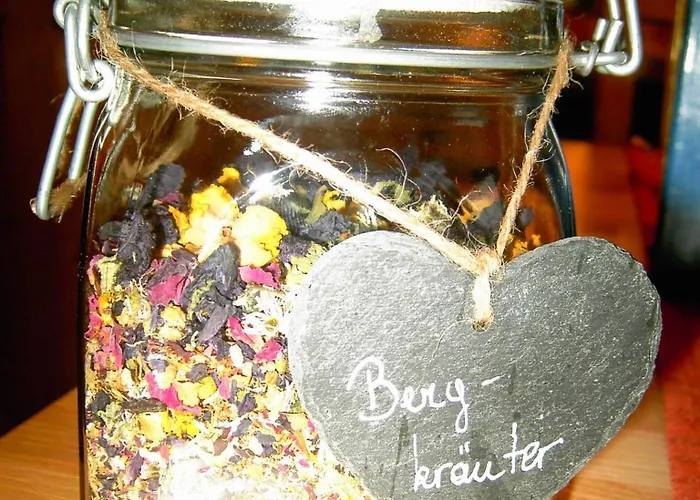 מלון Casada - Silvretta Premium Card Betrieb 3*